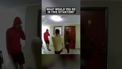 An armed Venezuelan gang has taken over your apartment complex … What would you do?