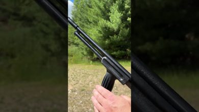 Would you use a .410 for home defense?