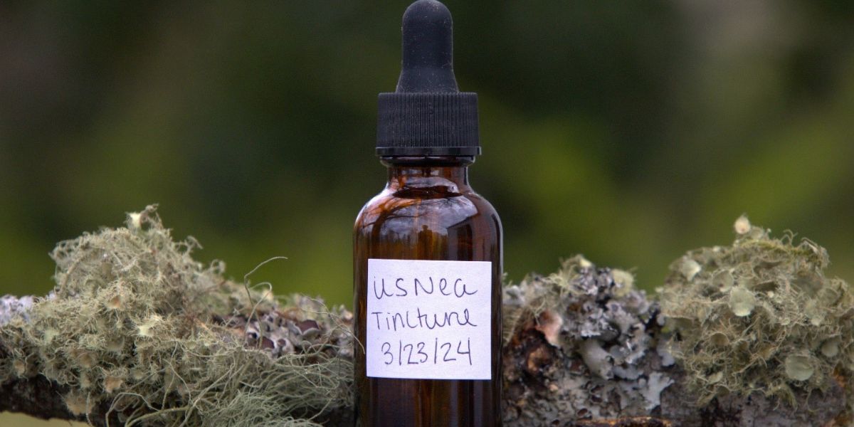 Making Usnea Tincture for a Healthy Homestead When SHTF