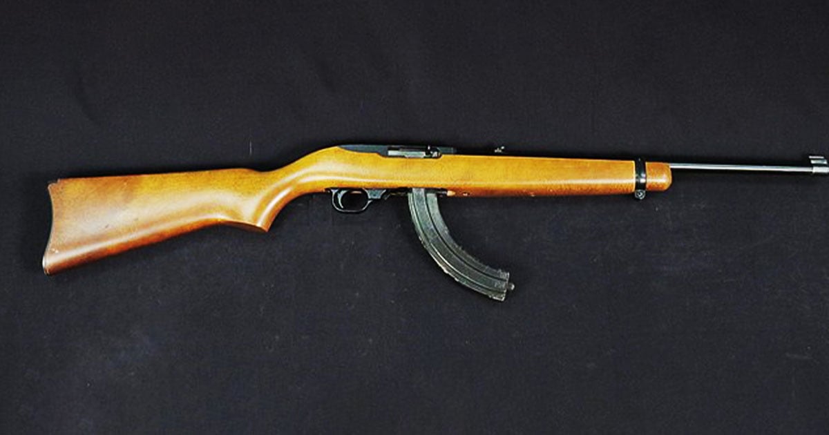 The Fighting 10/22? A Primer On Rimfire Carbines