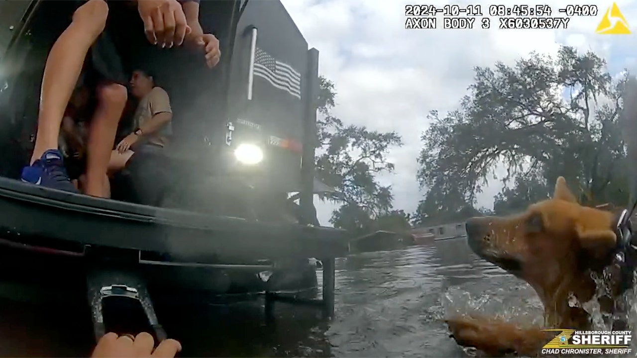 Video shows Hurricane Milton-impacted family, dogs rescued from floodwaters