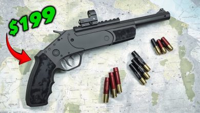 10 Surprisingly Good Guns That Are EXTREMELY Cheap!