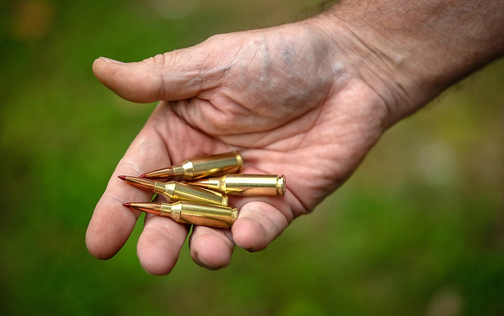 22 arc cartridges in hand