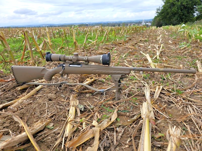 Ruger American Predator in synthetic.