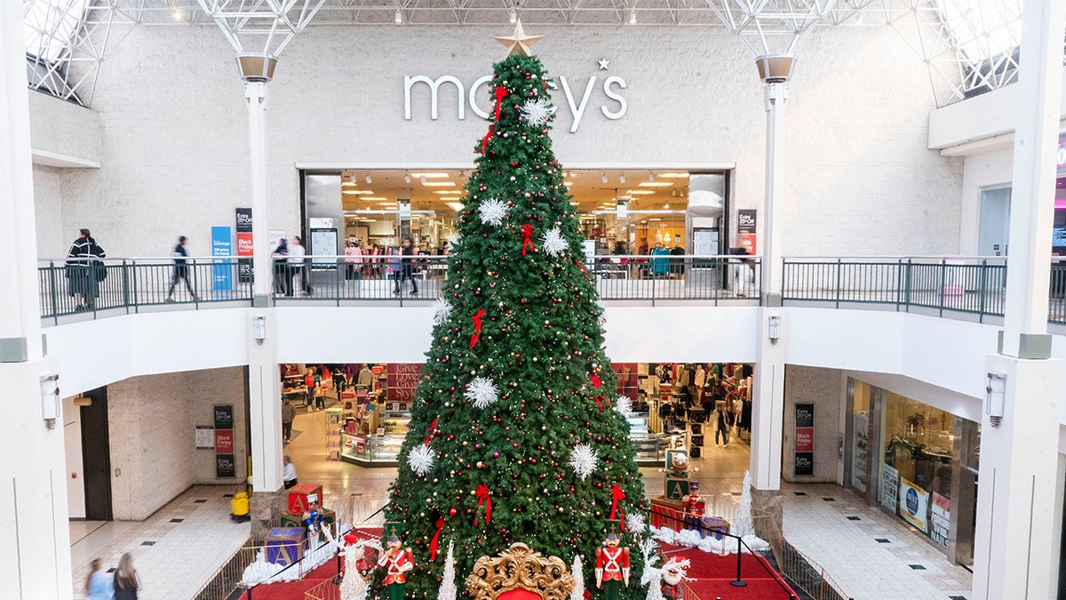 Christmas shoppers on Black Friday