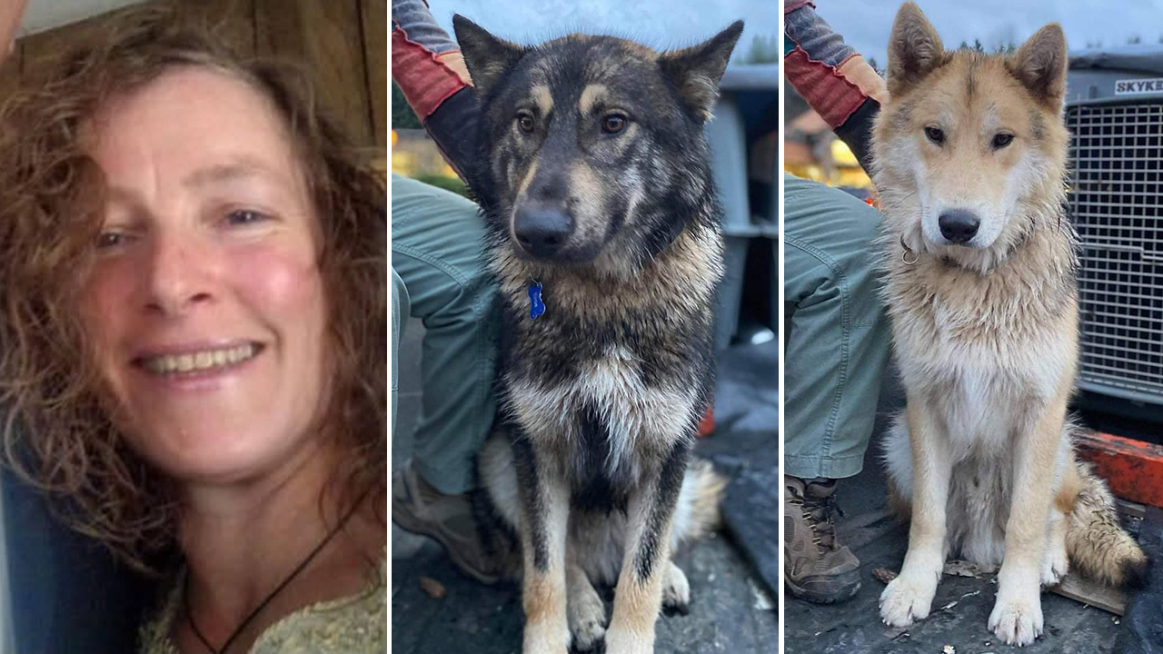 Estranged husband arrested for murder after missing hiker found dead along with dogs: ‘Afraid for her life’