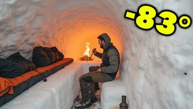 Man Builds the WARMEST IGLOO Survival Shelter Ever!