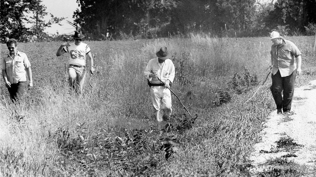 Close-up of police searching a field.