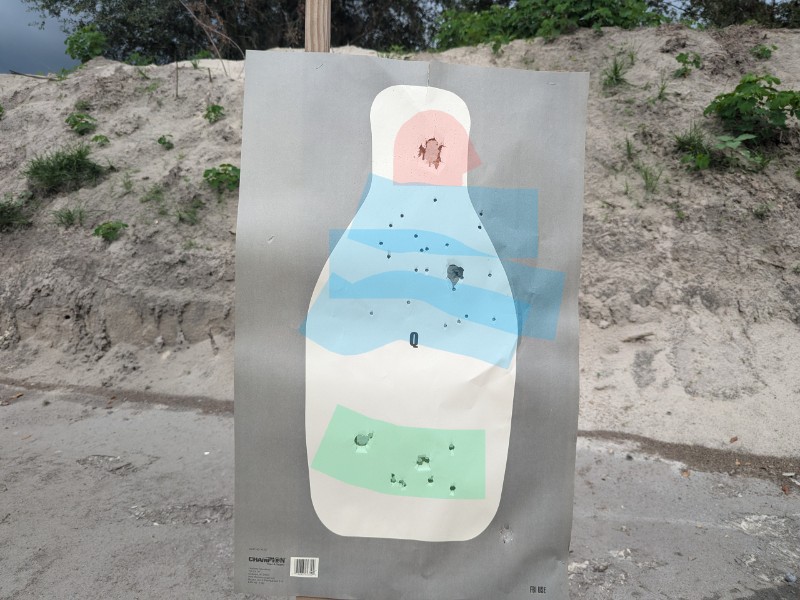 buckshot target