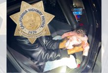 California Highway Patrol gets in some monkey business during routine stop