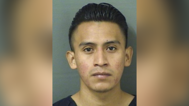 Illegal migrant charged with molesting Florida girl, 5, says family accused him over immigration status