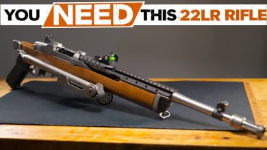 Best .22 LR Rifles 2025! Who’s On Top NOW?