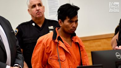 Illegal charged with lighting sleeping woman on fire pleads not guilty