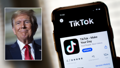 MAGA Republicans defend TikTok as ‘conservative platform’ as fate hangs in balance with Supreme Court