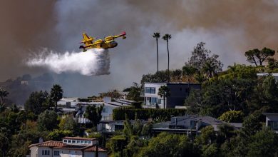 Los Angeles wildfires: Firefighting plane grounded for 3 days after drone strike causes ‘fist-sized hole’