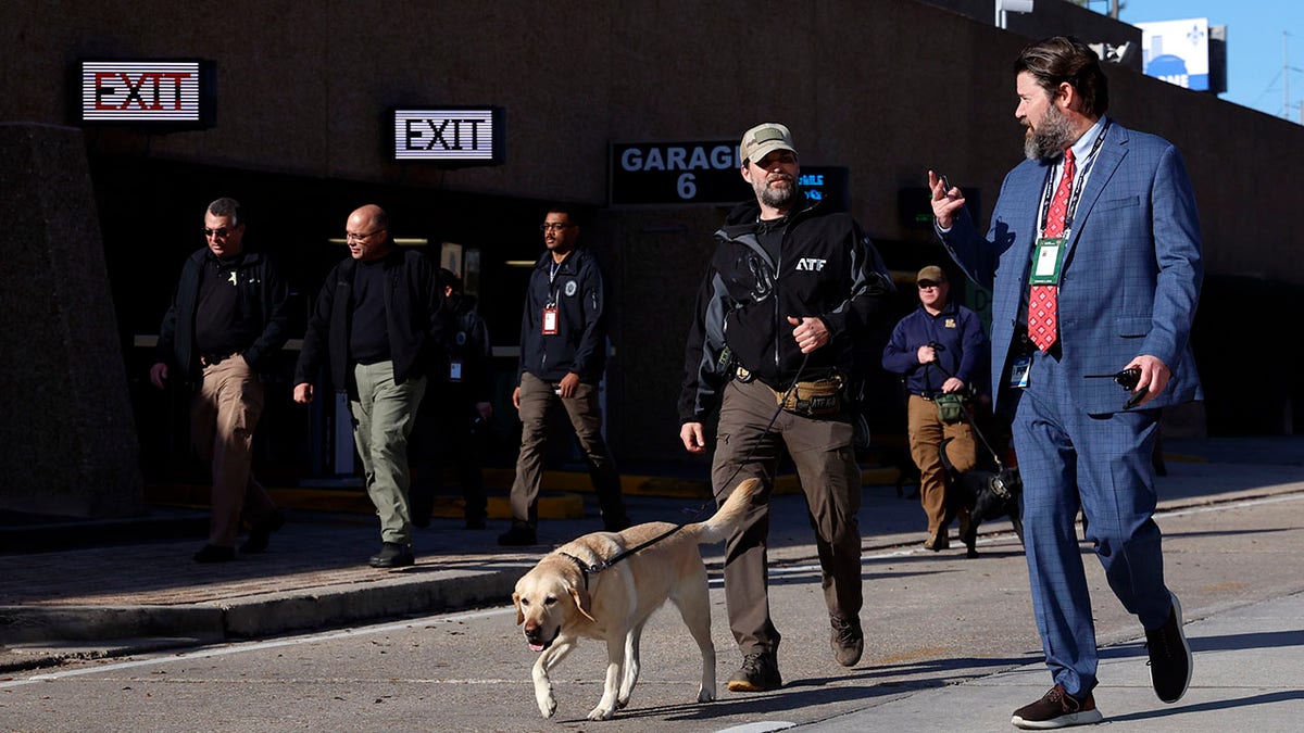 Bomb sniffing dog at Sugar Bowl