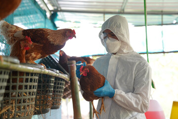 Bird Flu Experts: “Something Worse Is On The Way”