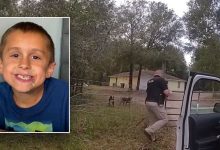 Florida boy, 8, ‘maliciously mauled’ to death by dogs he stopped to pet while out riding his bike: sheriff