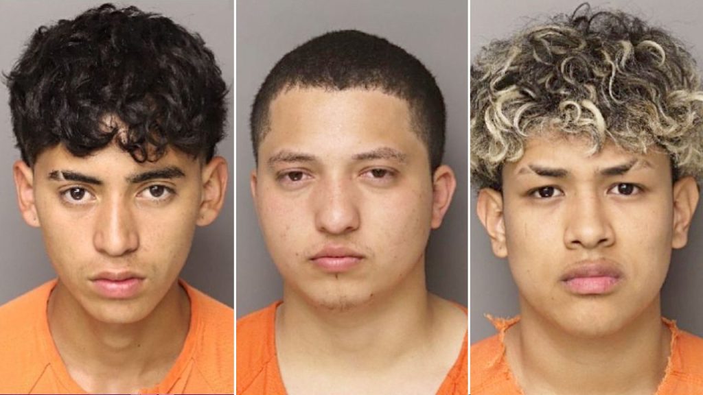 Six illegal migrants charged in South Carolina mother’s murder defy ‘decency’ in ‘civilized society’: sheriff