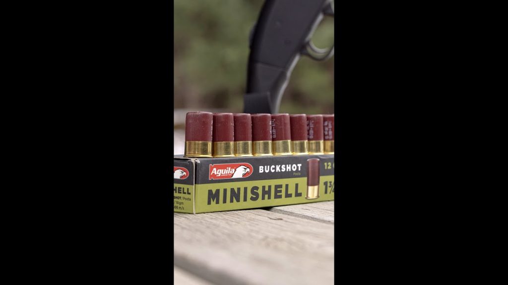 Would you rather have 9 mini shells than 4 standard shells?