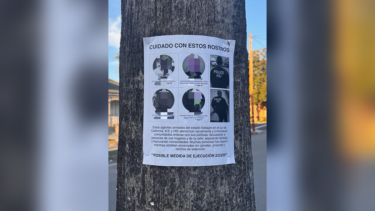 flier on a tree