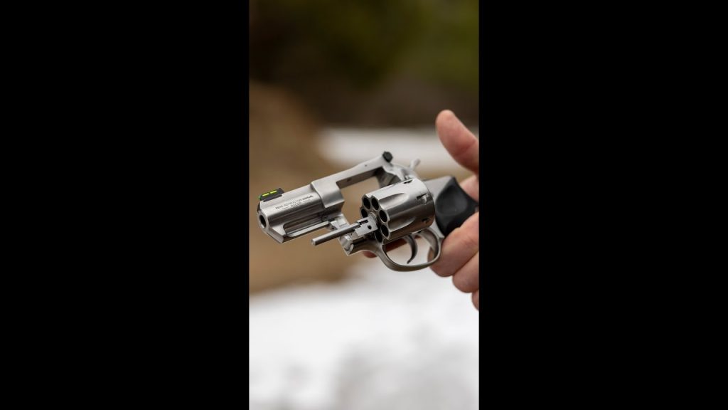 Would you want one? (Ruger GP100)