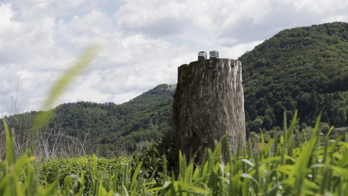 Stump left after Melania Trump statue removed