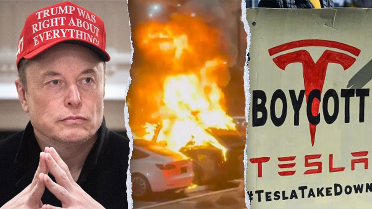 Elon Musk, Tesla fire and Tesla boycott poster