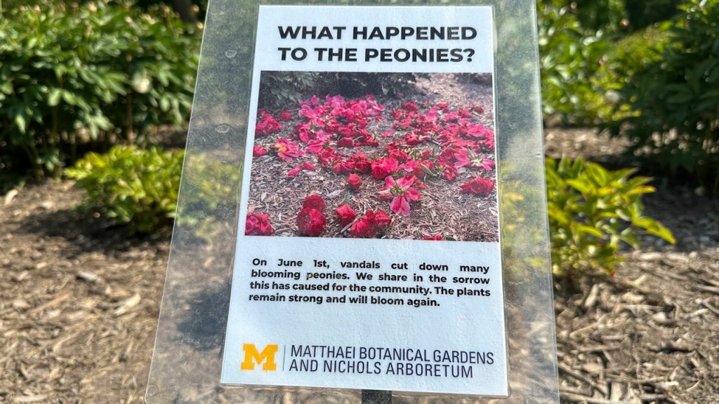 Historic university garden vandalized in apparent anti-Israel statement: ‘Don’t waste your tears’