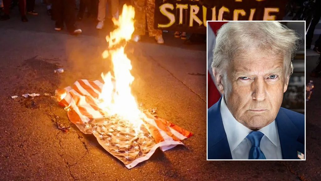 Trump vows consequences for ‘animals’ burning American flags in LA, slams those waving other countries’ flags