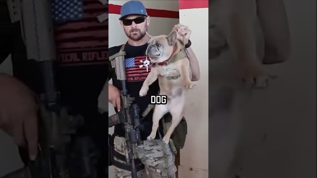 NAVY SEAL ROOM CLEARING #military #shortsvideo #shorts #navyseal #training #youtubeshorts #dog