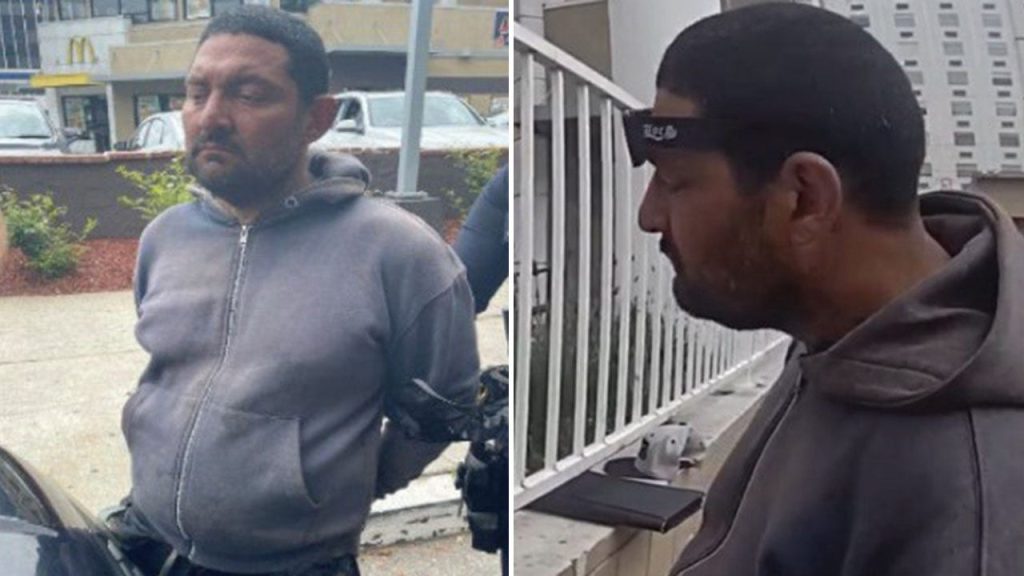 ‘Coward’ facing charges, accused of targeting federal agents with fiery attack at Los Angeles hotel