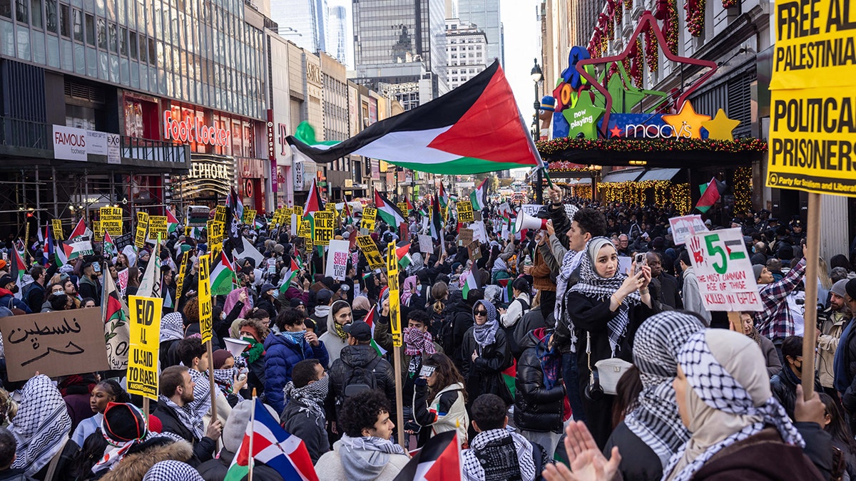 Pro-Palestine protest NYC
