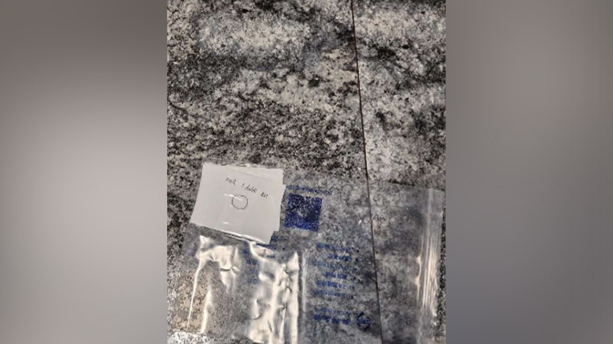 Chengxuan Han is facing multiple federal charges after allegedly mailing numerous biological samples from China to the United States.