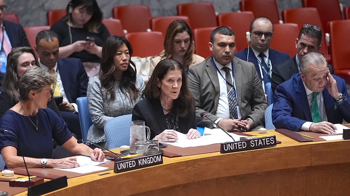 U.S. Charge de Affairs Dorothy Shea