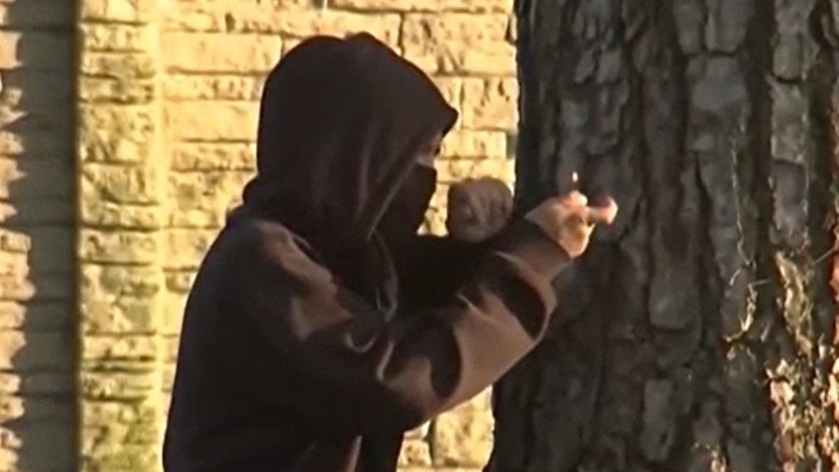 A hooded figure hides behind a tree while igniting a lighter