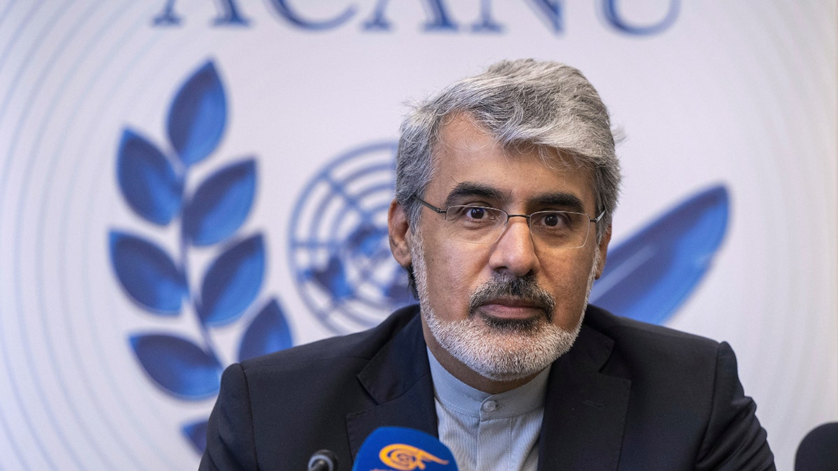 Iranian official to the UN