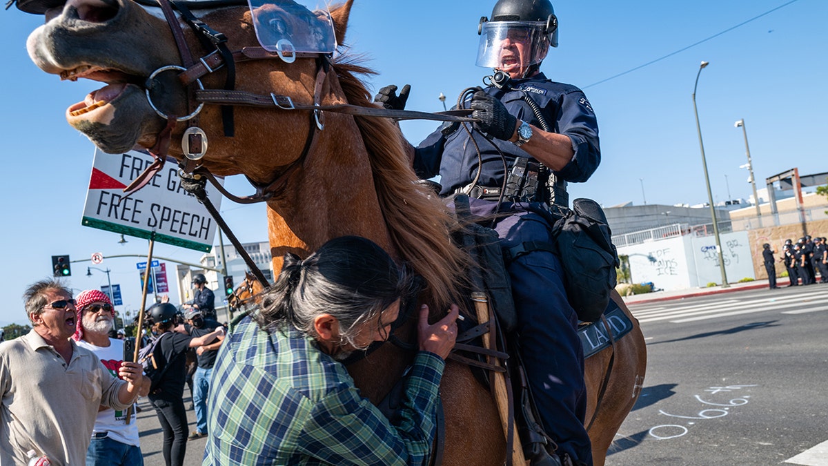Rioters cause havoc in Los Angeles as they rail against the US Government