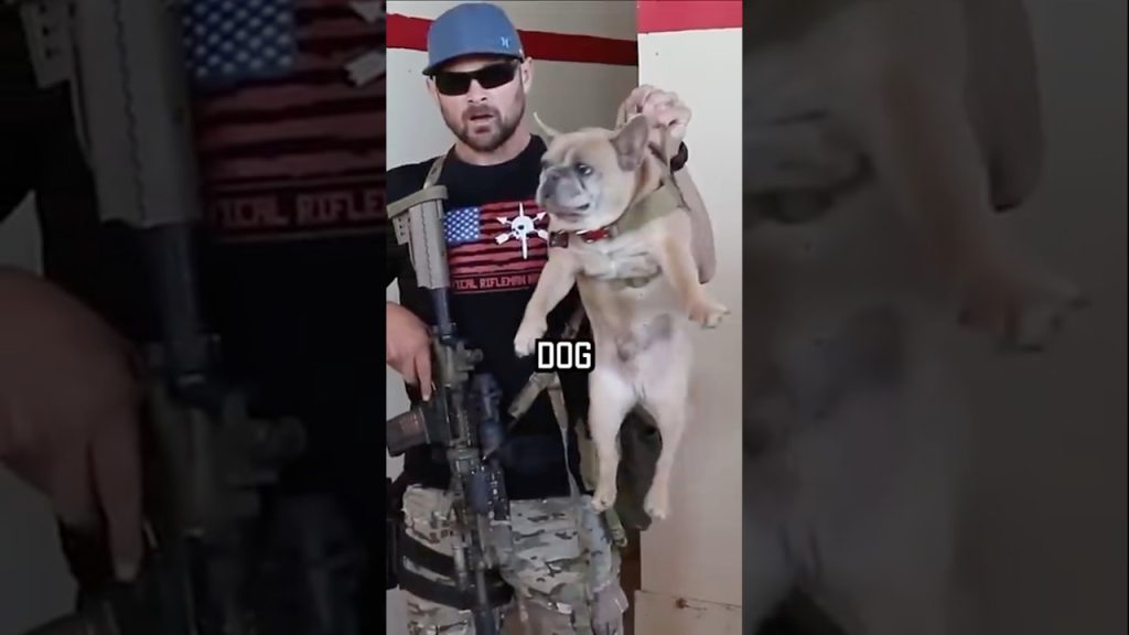 How a Navy Seal clears a room #shorts #navyseal #dog