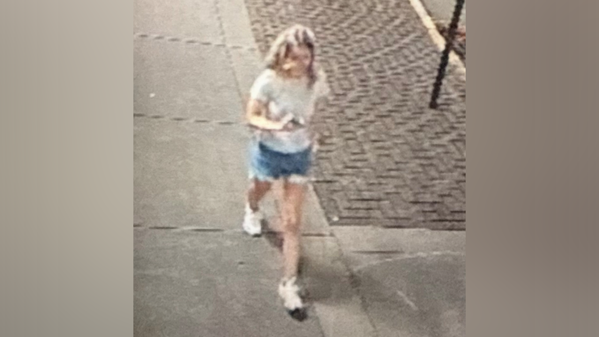 Eliotte Heinz, 22, vanished after last being spotted on a late night walk in La Crosse, Wisconsin.