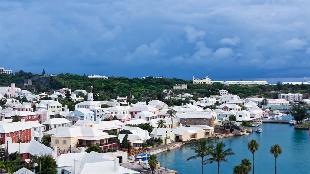 US cruise passengers nabbed after allegedly possessing lethal drug powerful enough to sedate elephants US cruise passengers nabbed after allegedly possessing lethal drug powerful enough to sedate elephants