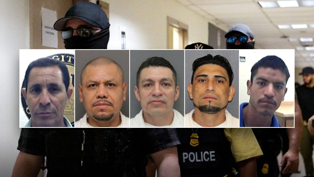ICE arrests over 200 illegal alien child sex offenders in Houston area in past 6 months ICE arrests over 200 illegal alien child sex offenders in Houston area in past 6 months