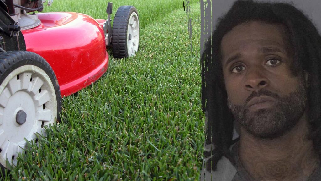 ‘Lawn guy’ accused of throwing party at former client’s home while they were on vacation: ‘Epic failures’ ‘Lawn guy’ accused of throwing party at former client’s home while they were on vacation: ‘Epic failures’