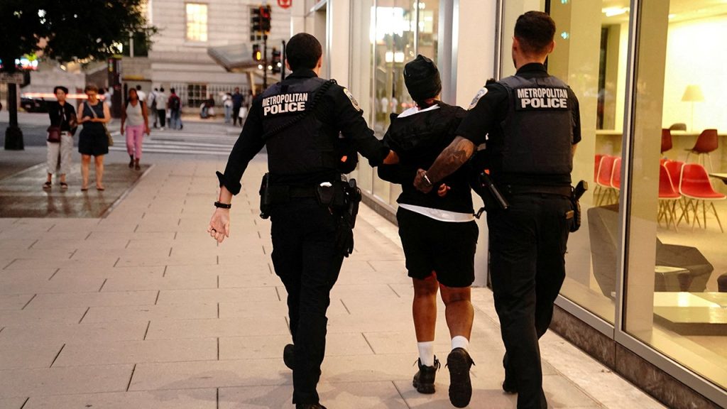 DC politicians kept ‘chopping away’ at law enforcement, paving way for Trump takeover, former FBI agent says