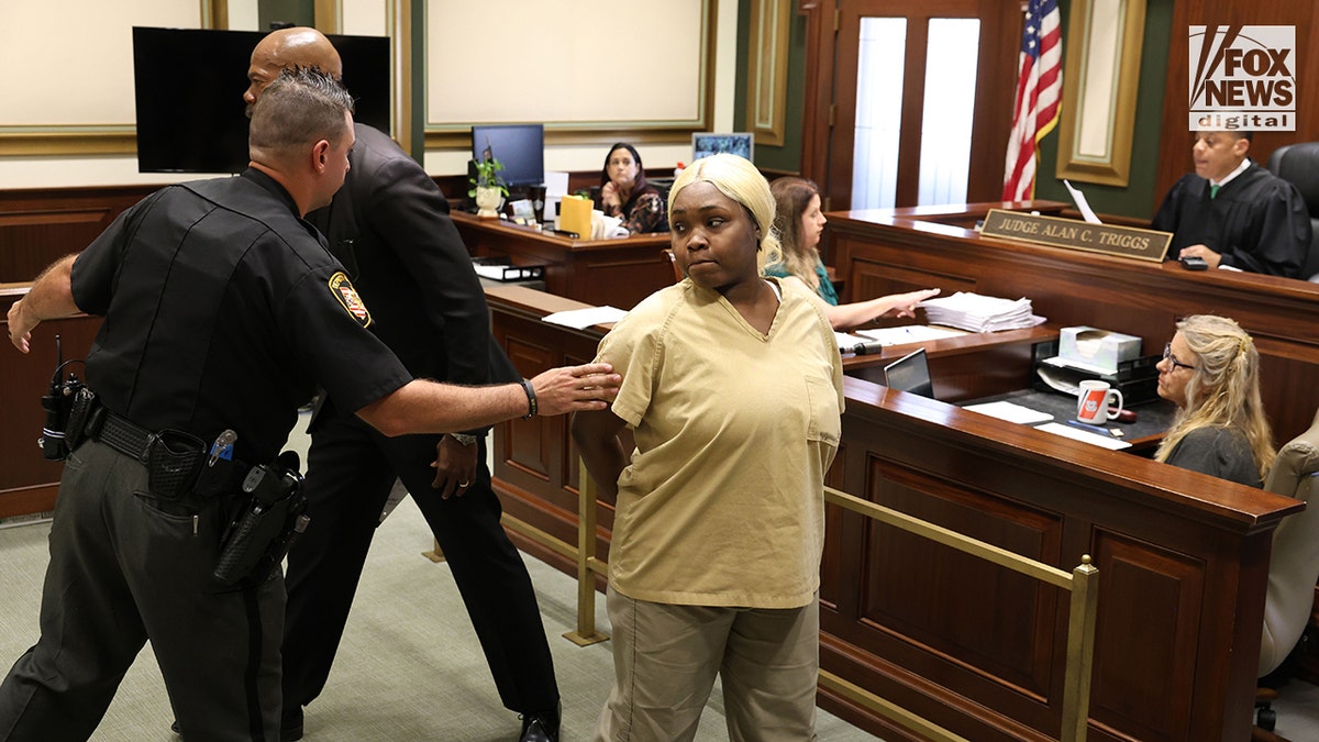 Suspect in the viral Cincinnati brawl is brought into court