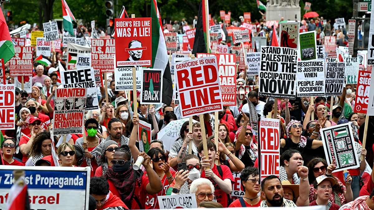 Protesters gather in Washington, D.C.