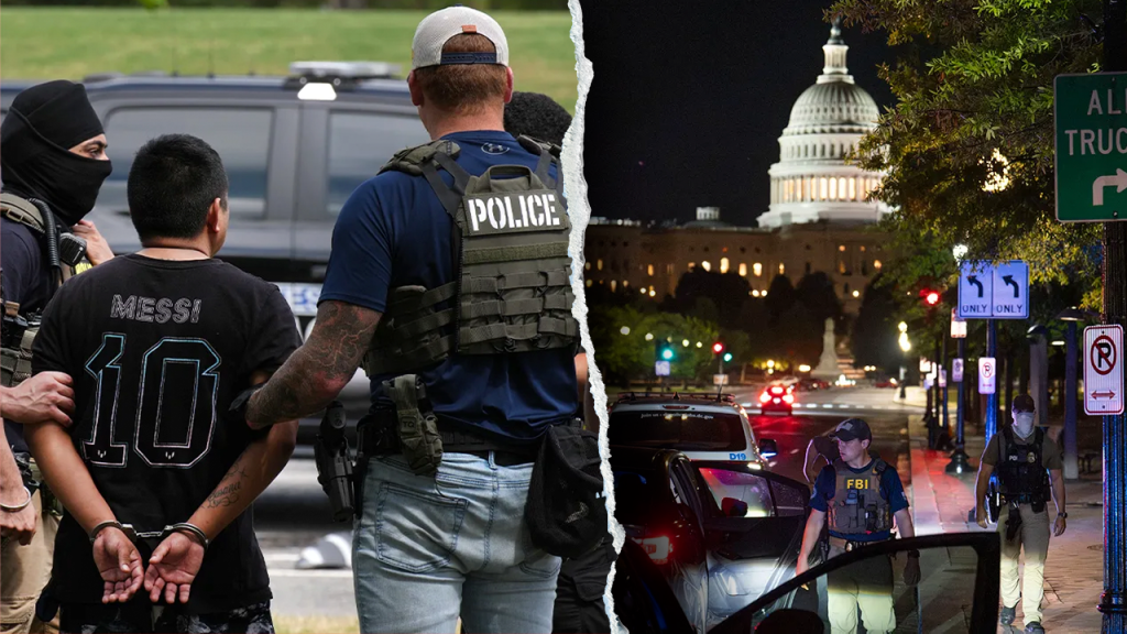 Social media erupts after illegal immigrant screams during viral DC arrest: ‘What I voted for’