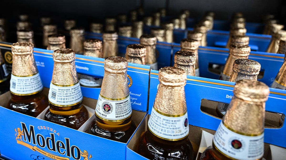 Six pack of Modelo beer