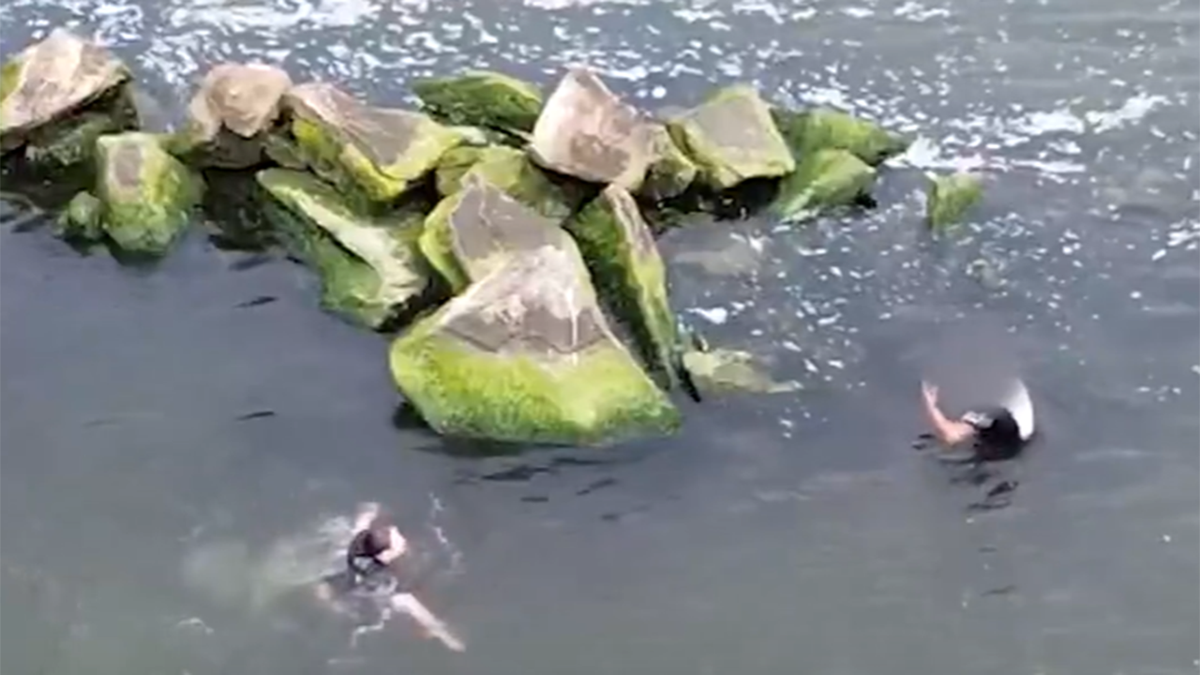 Female officer jumps into water to arrest suspect