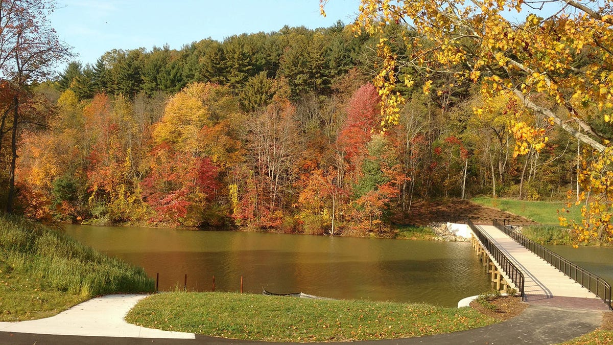 Atwood Lake surrounded by trees. 